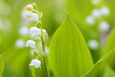 3DM速报：《战神》PC版M站93分 美国男子玩《守望先锋》怒杀男友